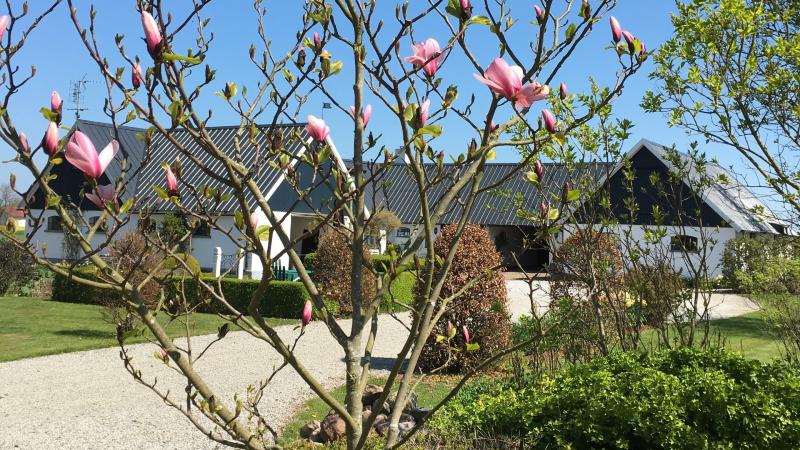 Vin & Sparris p� �sterlen